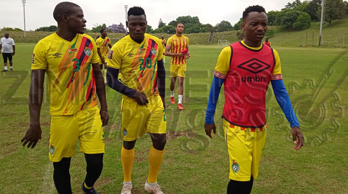 Khama to captain Warriors