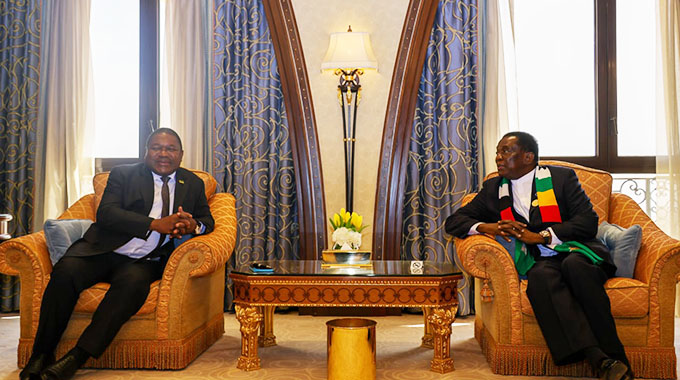 Presidents Mnangagwa, Nyusi meet