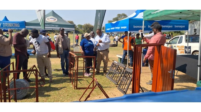 Kariba Carnival lives up to its billing