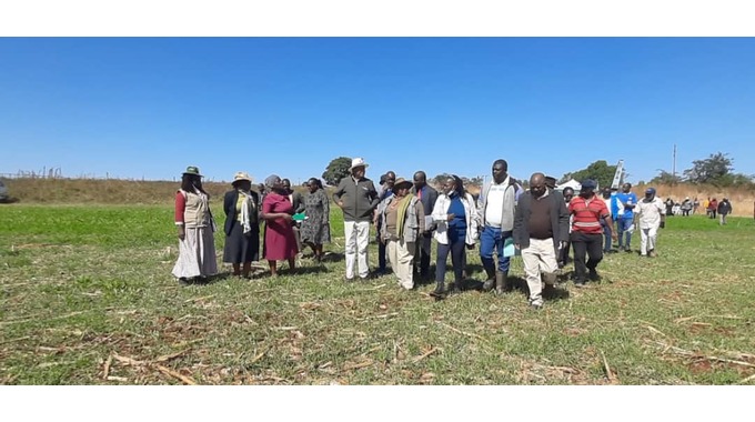 Government confident of surpassing wheat target