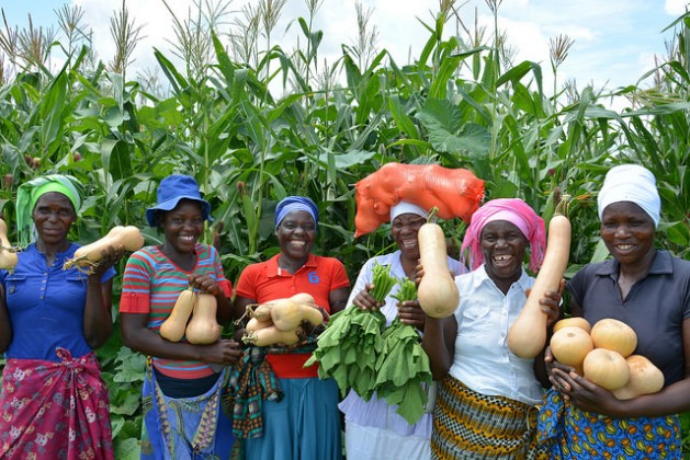 Get formally registered, cooperatives urged