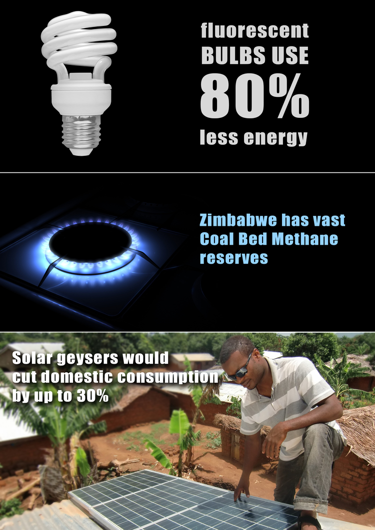 Zesa needs lateral thinkers