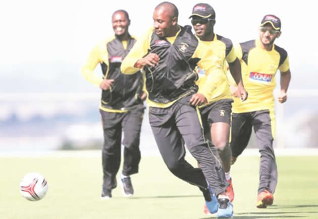 Zim feel at home