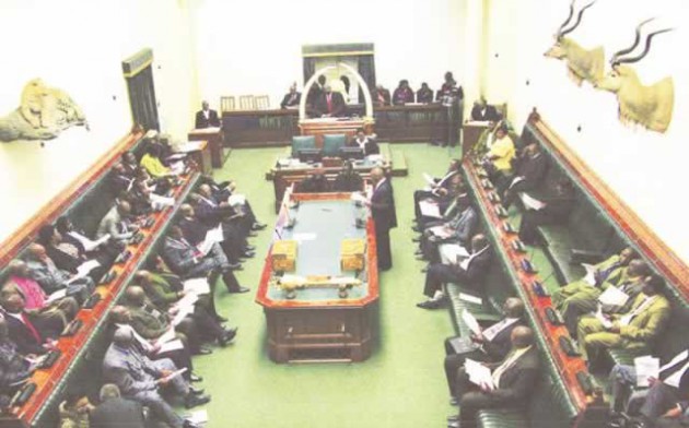 Members of Parliament should be more concerned with serving their constituents rather than being preoccupied with diplomatic passports