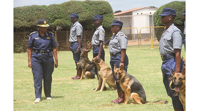 12 graduate in dog handling