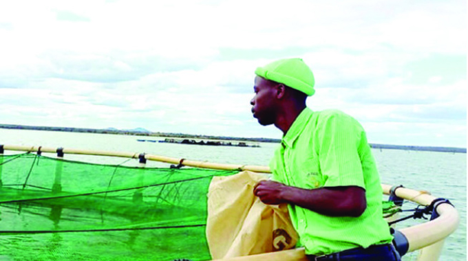 Zhovhe-Beitbridge canal to include citrus farming