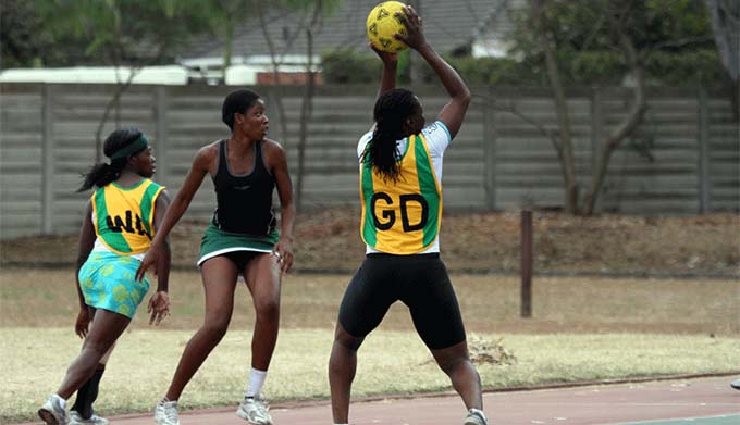 Zim optimistic of a positive campaign