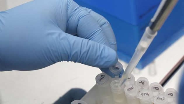 Zika vaccine