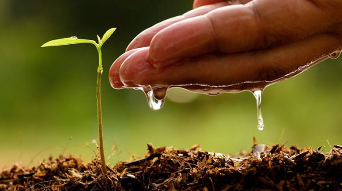 Forestry Commission in afforestation drive