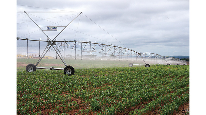 Looking Back: Corporation to prioritise agricultural development