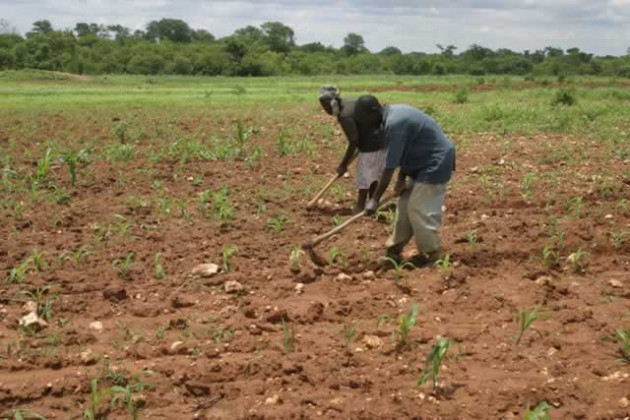 agriculture