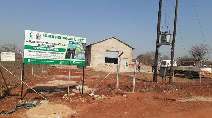 Amarula processing plant takes shape in Mwenezi