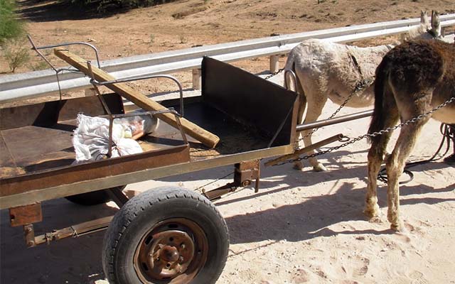 EDITORIAL COMMENT : Harare can’t be returned to stone age