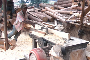 MTP vital for economic growth