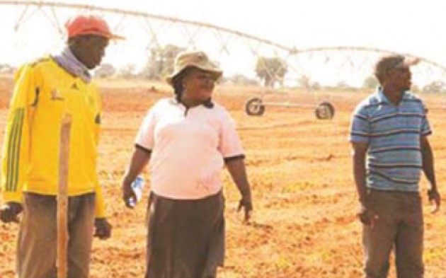 Mrs Veronica Munkuli (second from left) leads workers during a tour of Bulawayo Kraal Irrigation Scheme which was assisted by First Lady Amai Grace Mugabe