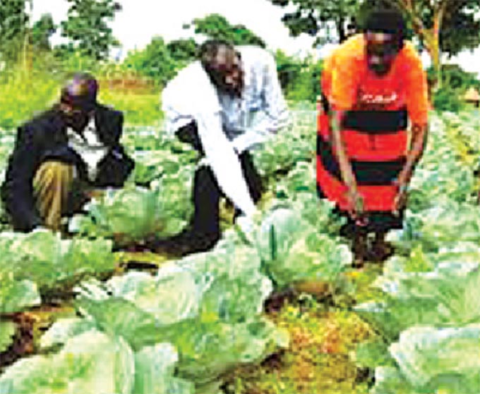 CourierConnect brings convenience to farmers