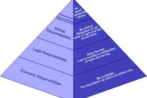 The corporate: Citizenship versus social responsibility