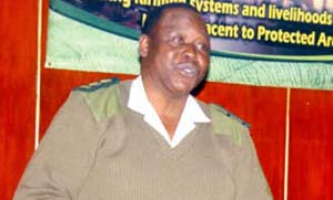 Zim’s wildlife players siphon millions