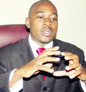 chamisa nelson
