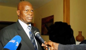 Minister Chinamasa
