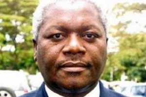 Government won’t allow white farmers back: Chombo
