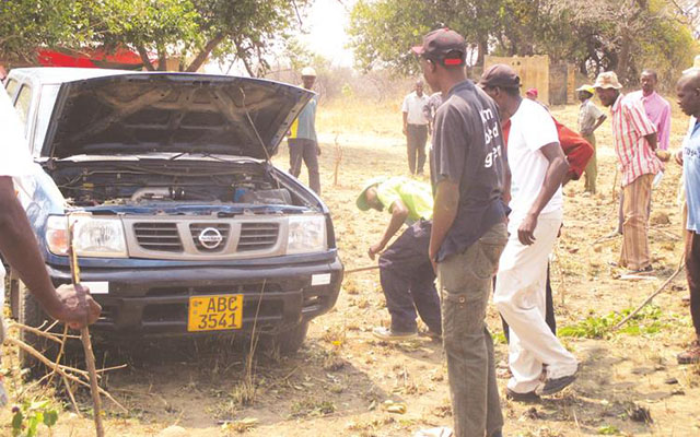 Matoranjera villagers search for a 1,5metre cobra (edited) which disrupted Public Service, Labour and Social Welfare Minister Prisca Mupfumira’s address in Mashonaland West yesterday. — Pictures by Walter Nyamukondiwa