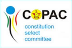 Copac haggles over Nguni suit