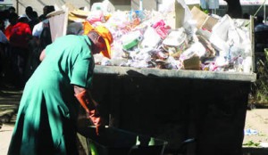councilworker