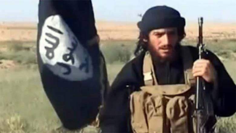 IS official spokesman ‘killed’ in Syria