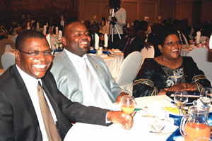 Industrial production capacity surges: CZI