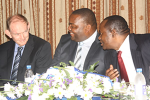 Banking sector safe: Gono