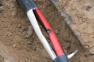 Electrocutions: A wake-up call for Zesa