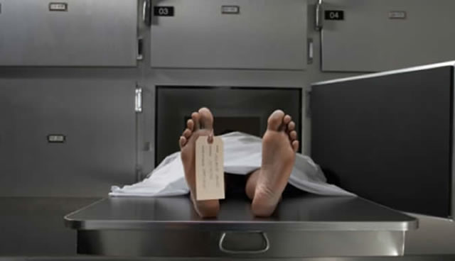 Decomposing body found in bush