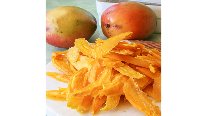 ABC sets up four mango drying centres in Gokwe