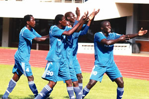DeMbare dehorn Bulls