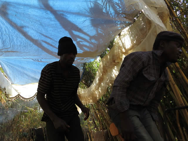 Tafadzwa and Romeo emerge from their “home” (centre) along the Marimba River in Monavale as a woman (right) does her chores outside a makeshift home along the river