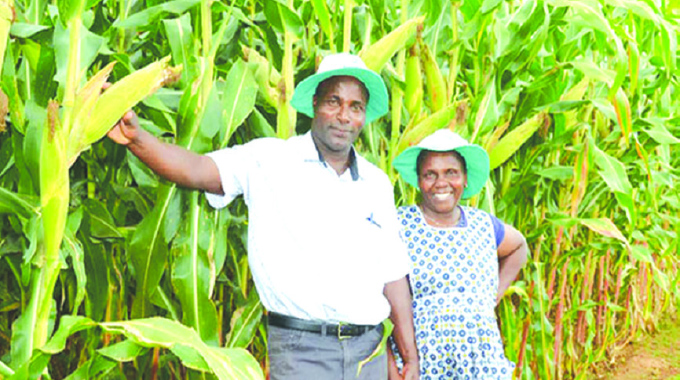 Seed Co Intl to leverage strong regional demand