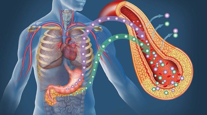 Demystifying diabetes mellitus