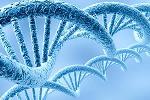 70pc men tricked on paternity: DNA