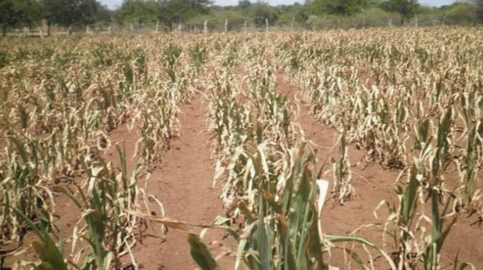 Experts warn of another drought