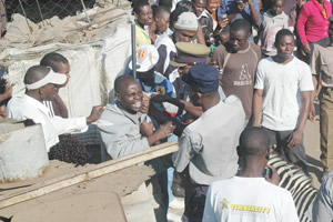 Zebras cause stir in Harare suburbs