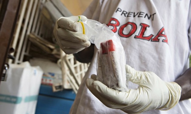 ebola