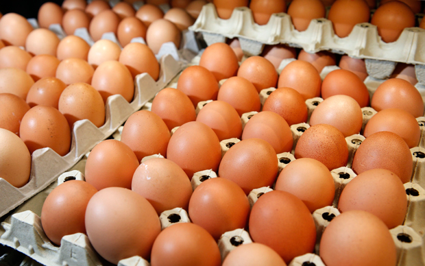 Man kills brother in row over three eggs