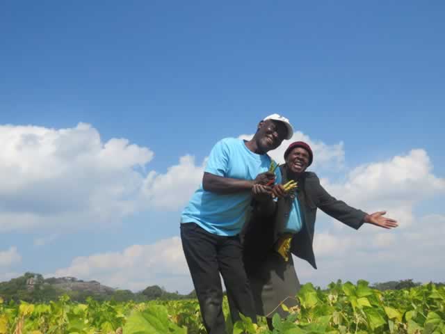 Organic farming project brings hope