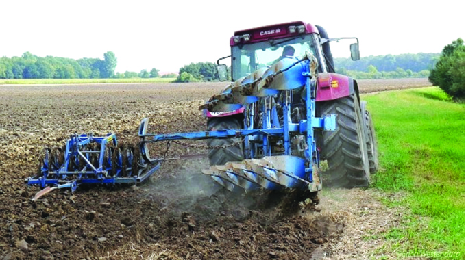 Good forecast firm foundation for another bumper harvest