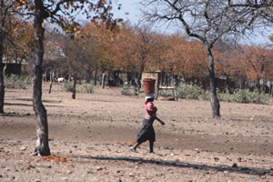Will the rains wet parched ground ?