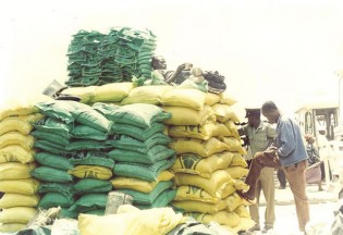 fertiliza