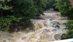 floodedriver04jan