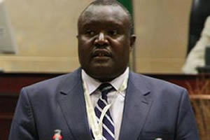 Chiefs endorse Zanu-PF amendments