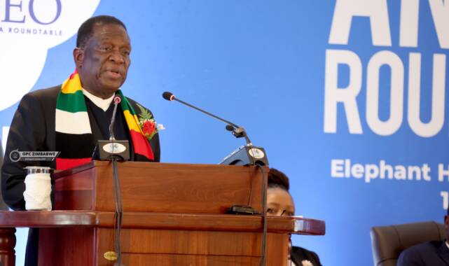 ‘ZiG a game changer for economy’